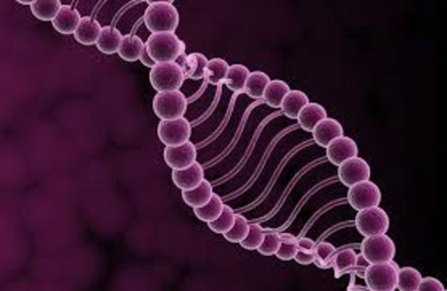 Syntethic life was discovered