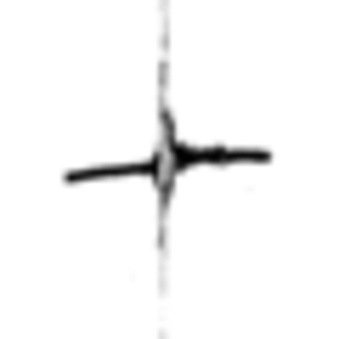 Seismograph Becomes International