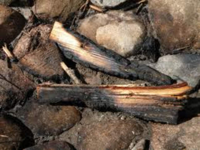 Rlaph tells Jack that he let the fire go out.