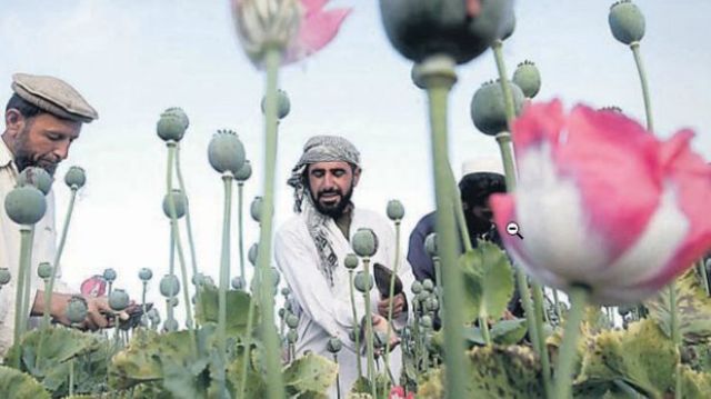 La pesadilla del narcotráfico llega al mundo musulmán