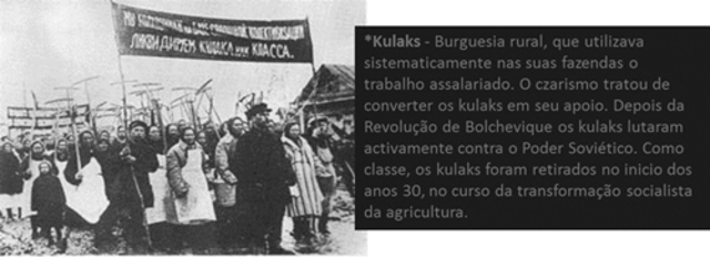 Colectivização dos campos