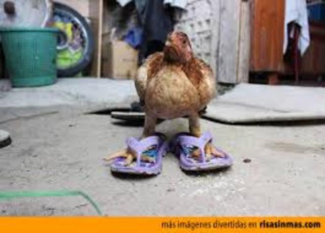 La imagen de nuestra empresa