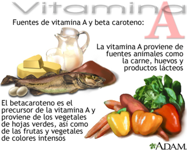 Descubrimiento de la vitamina A