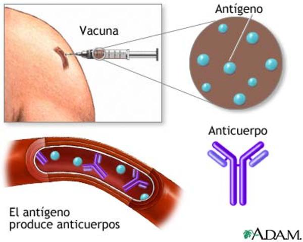 Prevención de la difteria por inmunización