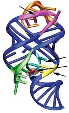 Recominant DNA Technology and Beyond