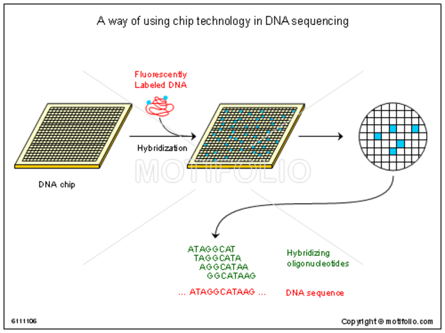New Tools in the Lab
