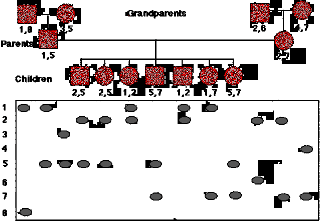 Recominant DNA Technology and Beyond