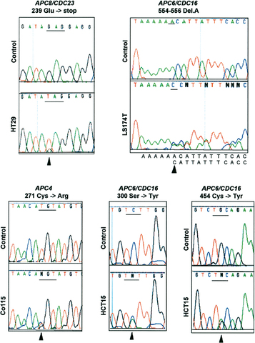 New Tools in the Lab