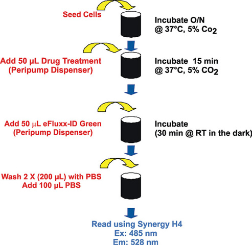 Automated fluorescence