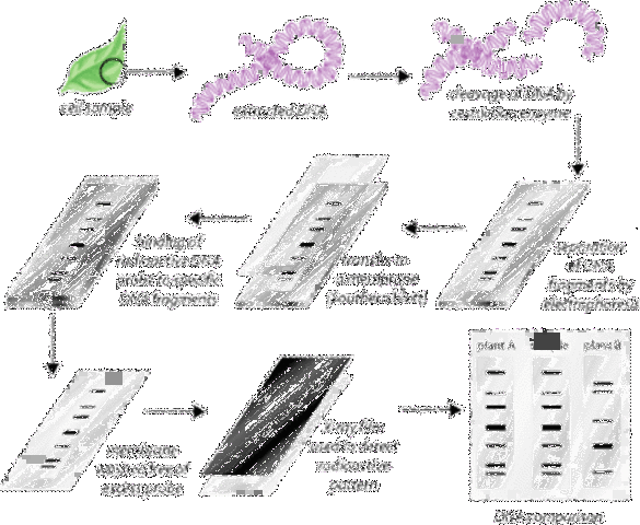 Recombinant DNA Technology and Beyond