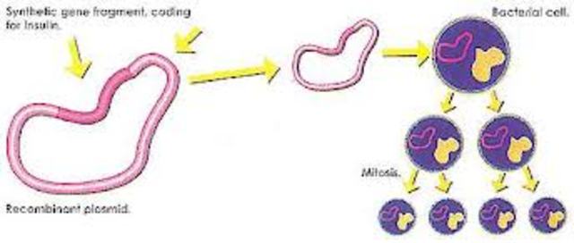 Recombinant DNA Technology and Beyond