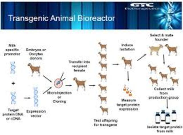 Recominant DNA Technology and Beyond