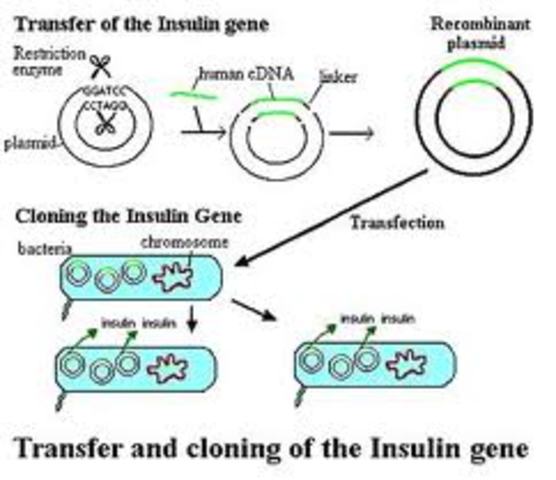 Recominant DNA Technology and Beyond