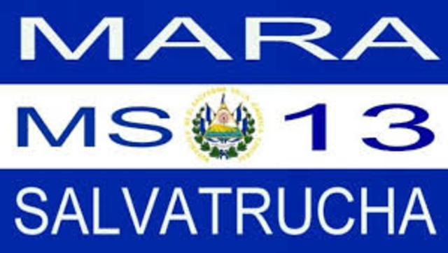 After Miranda's Death