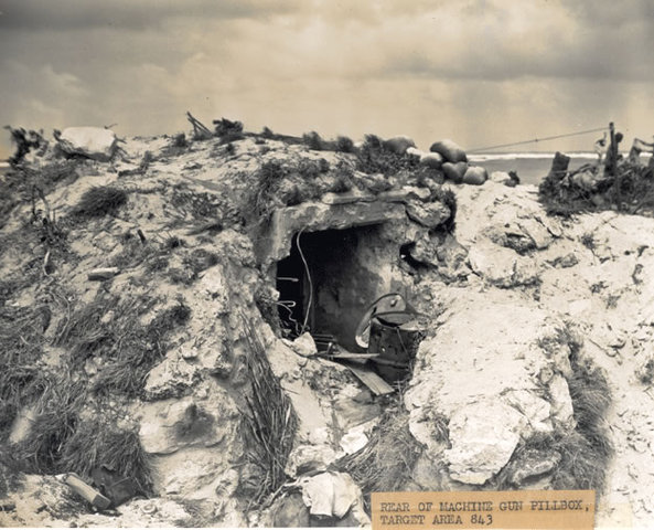 Battle of Peleliu