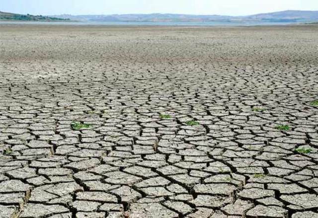 Another sevre drought causes immense amount of food loss