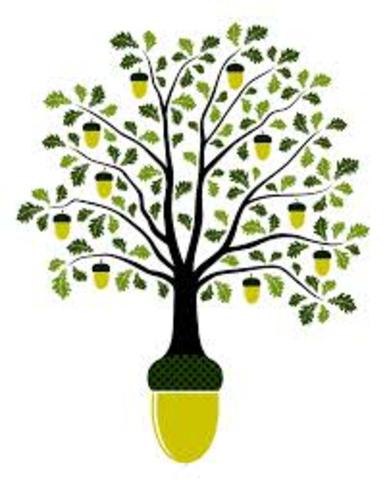 Ani gives Mathias the acorn given to her by her father