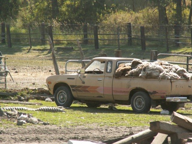 Learnt to drive standard