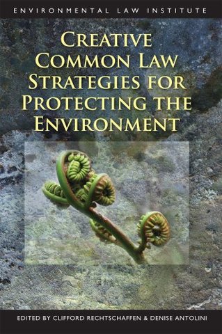 Creative common law strategies for protecting the environment