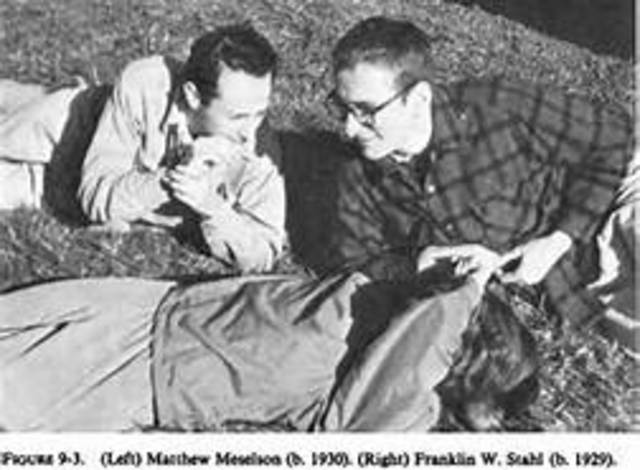 Matthew Meselson and Franklin Stahl