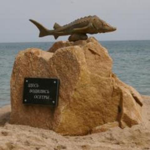 Памятник осетру по инициативе Баранова