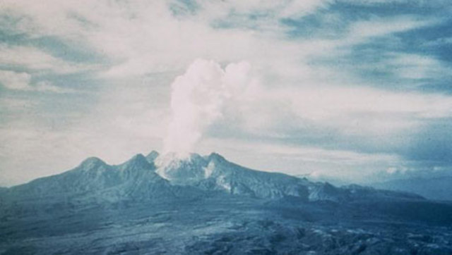 Lamington, Νέα Γουινέα