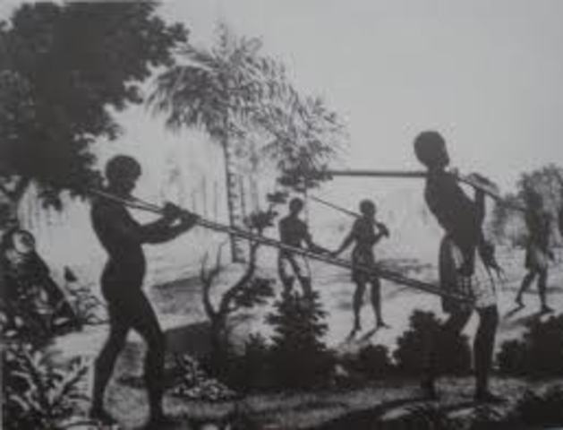 Decreto de abolição parcial de morgados.