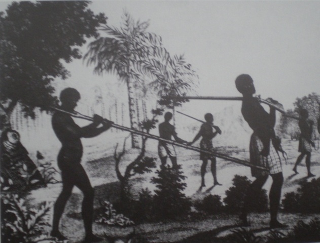 Decreto de abolição parcial de morgados.