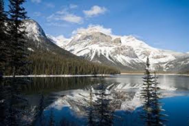 An Amazing Discovery