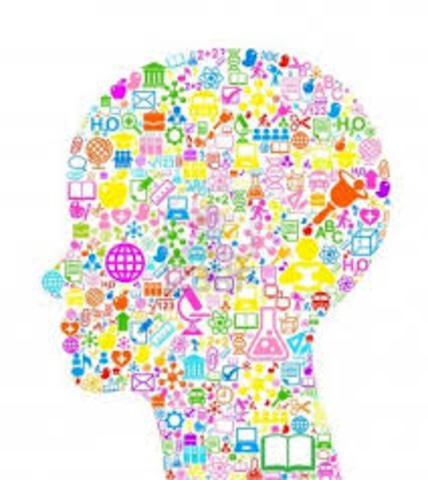 Modelos DI primera generación