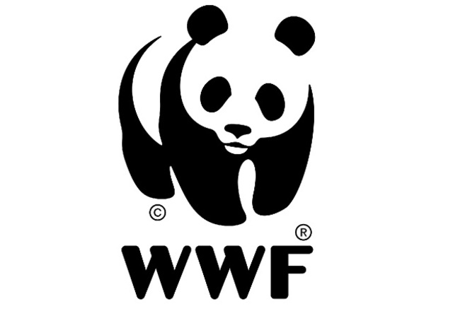 Trabajo en una ONG (protección animal)