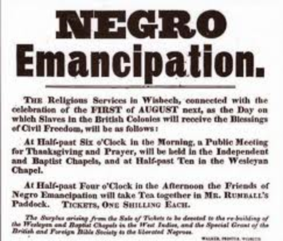 Slavery was abolished throughout the British Empire