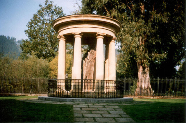 The Guernica tree shelters Ani from much in her world