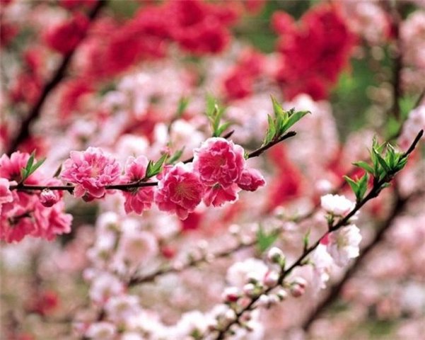 Втретє Україною