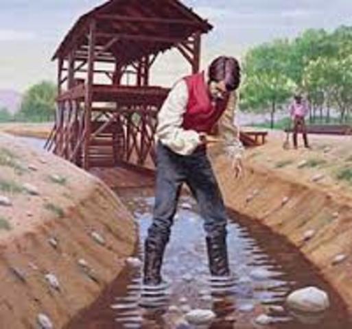 California gold rush begins