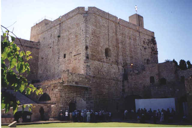 British settled in Australia