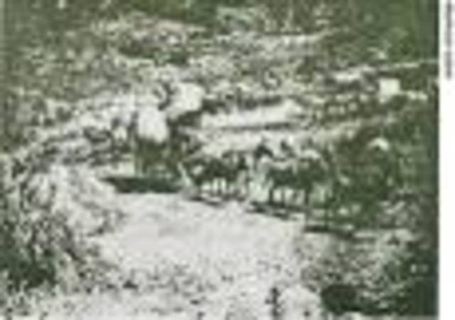 Takes charge of the post at Iligan.