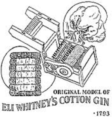 Invention of the Cotton Gin