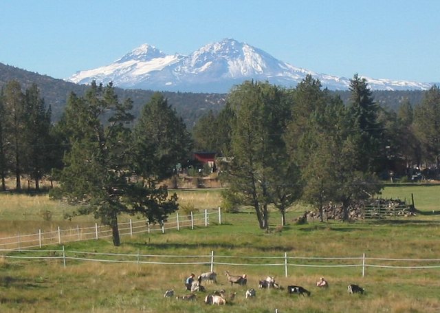 Visiting Grandpa's House