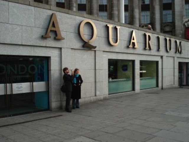 Aquarium!