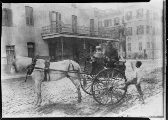 Horsecar's inaugural run