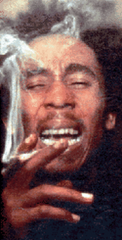 Excuse me while i light my spliff