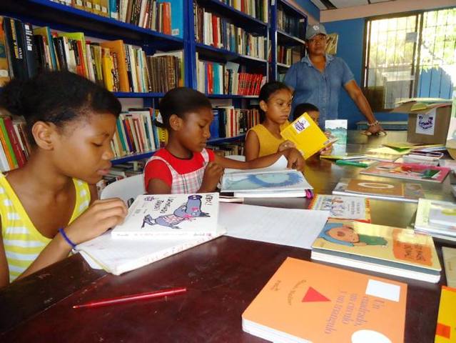 los libros y la biblioteca