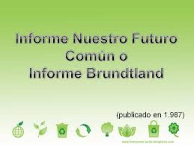 INFORME DE BRUNDTLAND
