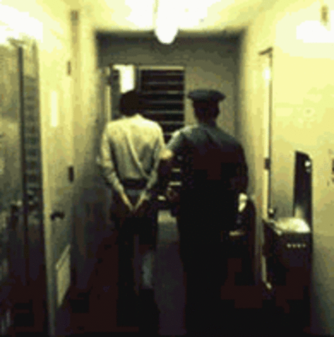 Mass Arrest (continued)