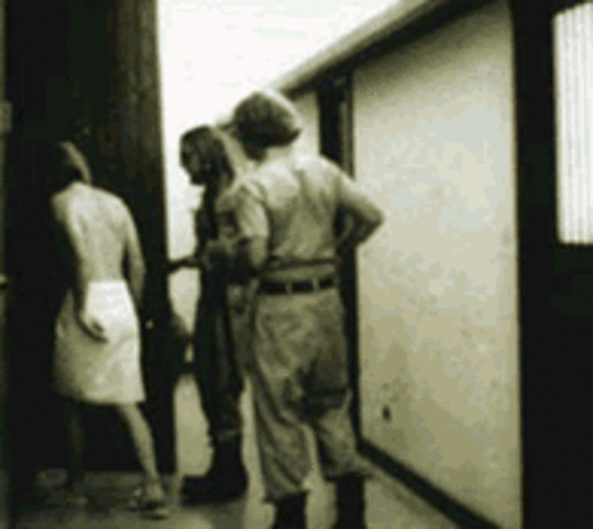 Special Privileges (continued)