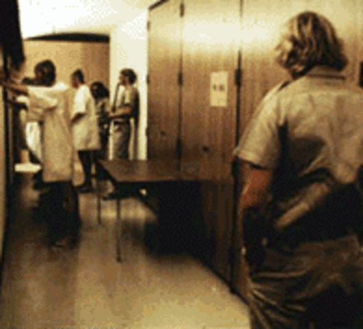 Parole Denial Coping Styles