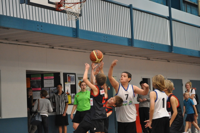 First Year of Basketball