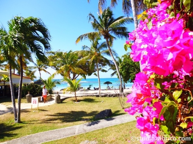 Liliane & Jean-Claude BOUTON