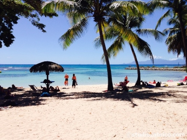 Corinne Bourjac, Yannick Portillo